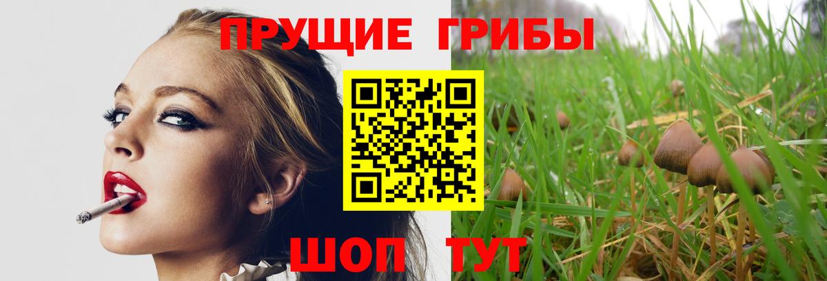 Галлюциногенные грибы прущие грибы Прохладный