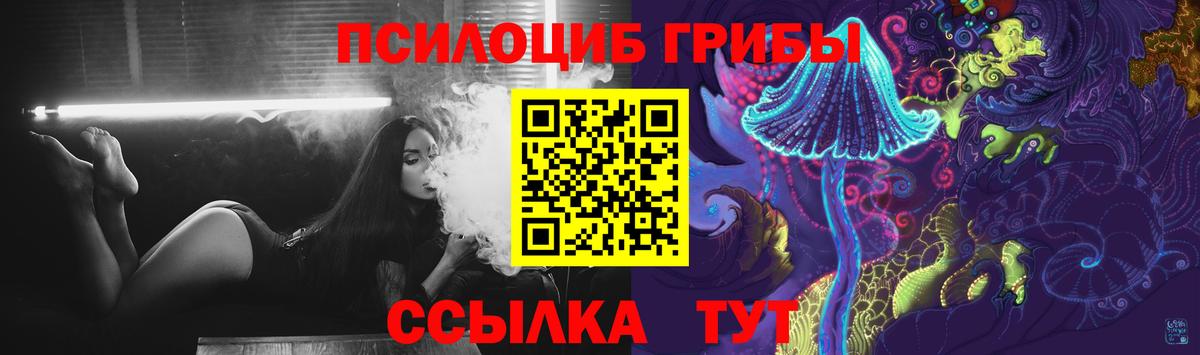 Псилоцибиновые грибы мухоморы  Псилоцибиновые грибы Cubensis  Прохладный  Вход с VPN 