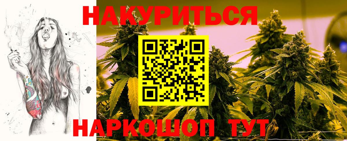 Бошки марихуана индика  Вход с VPN  Прохладный  Марихуана конопля  Каннабис гибрид  Канабис ГИДРОПОН 